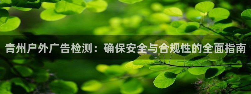 杏宇平台官网注册