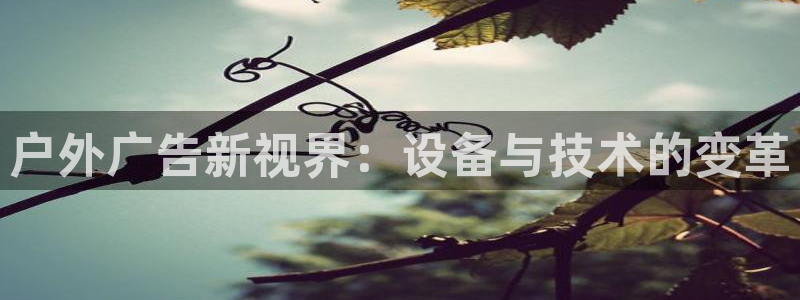 杏宇平台总代理