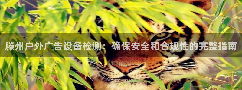 杏宇平台登录步骤图