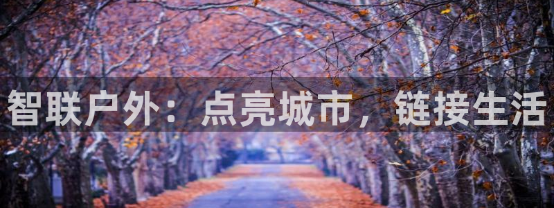 杏宇平台代理怎么赚钱的
