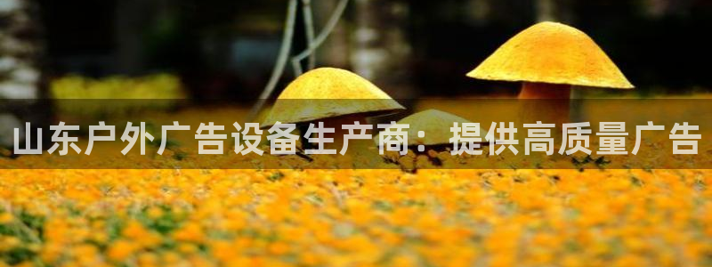 杏宇平台注册登录