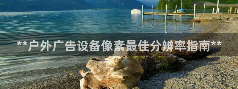 杏宇平台总代理