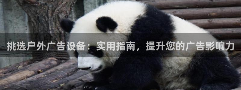 杏宇代理注册：挑选户外广告设备：实用指南，提升您的广告影响力