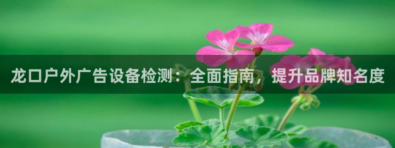 杏宇官方平台官网：龙口户外广告设备检测：全面指南，提升品牌知名度