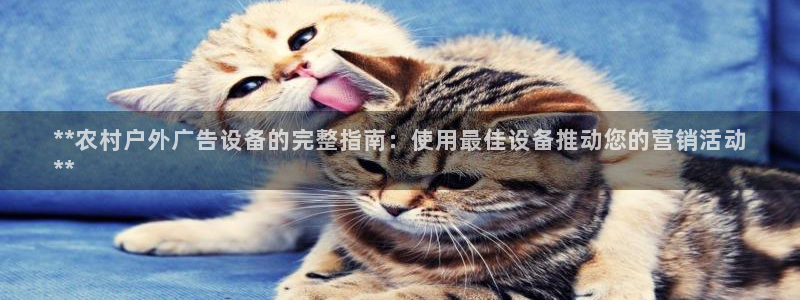 杏宇平台官网注册：**农村户外广告设备的完整指南：使用最佳设备推动您的营销活动
**