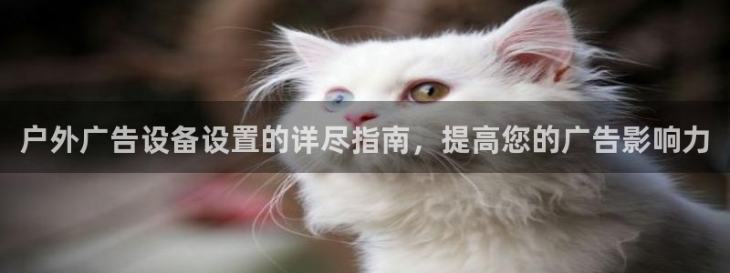 杏宇平台招商电话号码：户外广告设备设置的详尽指南，提高您的广告影响力