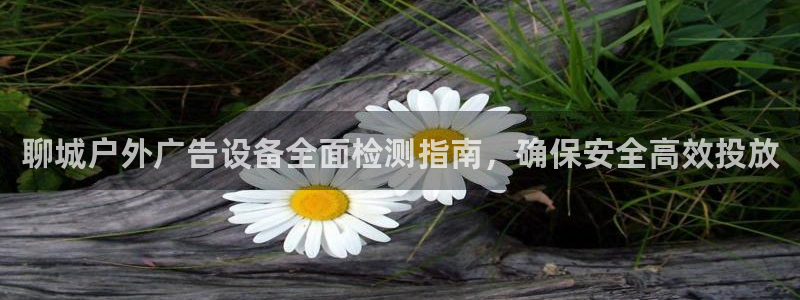 杏宇平台代理：聊城户外广告设备全面检测指南，确保安全高效投放