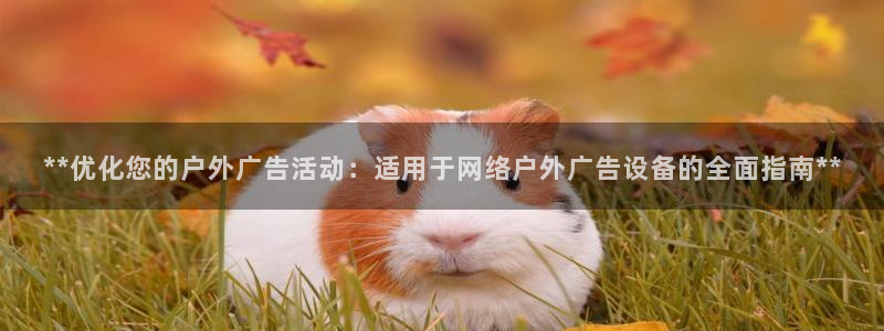 杏宇平台招商：**优化您的户外广告活动：适用于网络户外广告设备的全面指南**