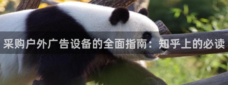 杏宇平台代理怎么样赚钱：采购户外广告设备的全面指南：知乎上的必读