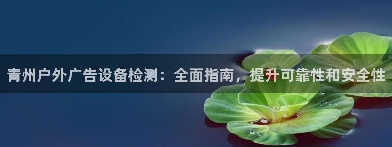 杏宇官方平台官网下载：青州户外广告设备检测：全面指南，提升可靠性和安全性
