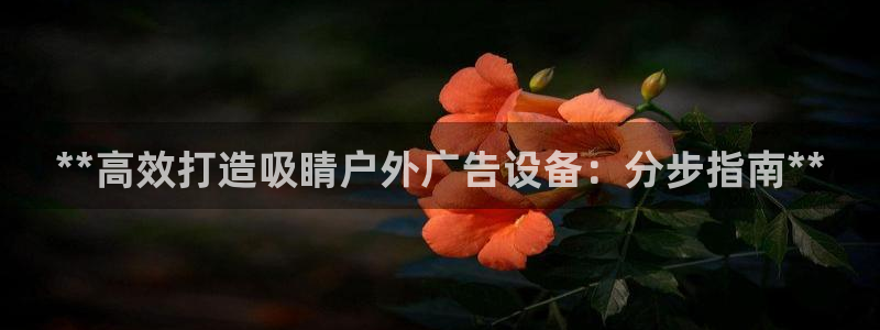 杏宇平台登录方法：**高效打造吸睛户外广告设备：分步指南**