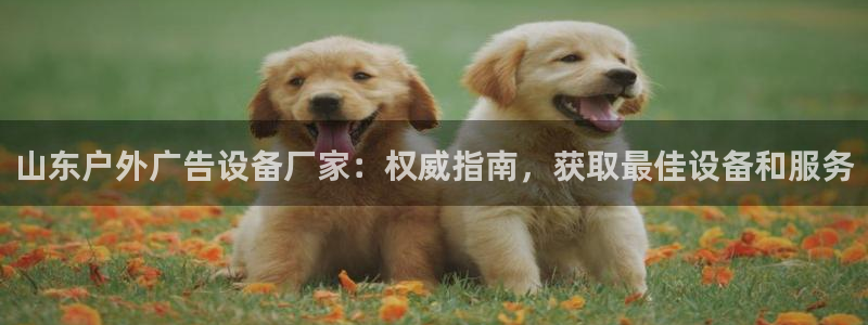杏宇平台代理多少钱一次：山东户外广告设备厂家：权威指南，获取最佳设备和服务