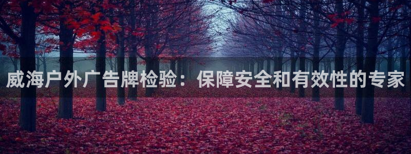 杏宇平台提现为什么这么久呢：威海户外广告牌检验：保障安全和有效性的专家