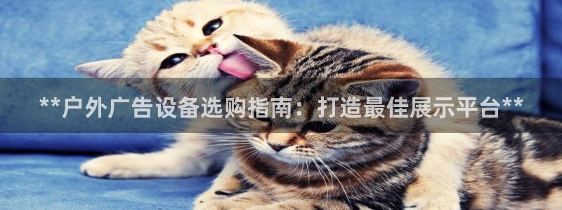 杏宇平台代理怎么赚钱快：**户外广告设备选购指南：打造最佳展示平台**