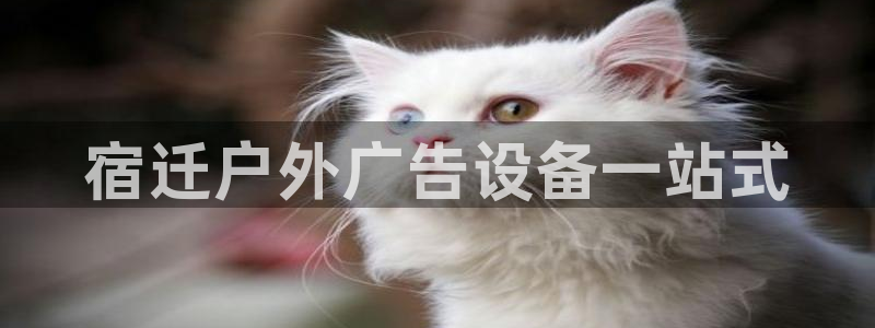 杏宇平台主管：宿迁户外广告设备一站式