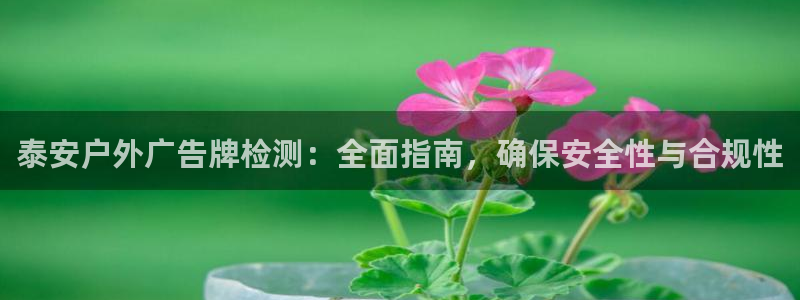 杏宇平台注册登录：泰安户外广告牌检测：全面指南，确保安全性与合规性