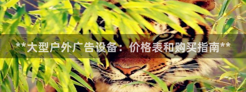 杏宇平台注册地址：**大型户外广告设备：价格表和购买指南**