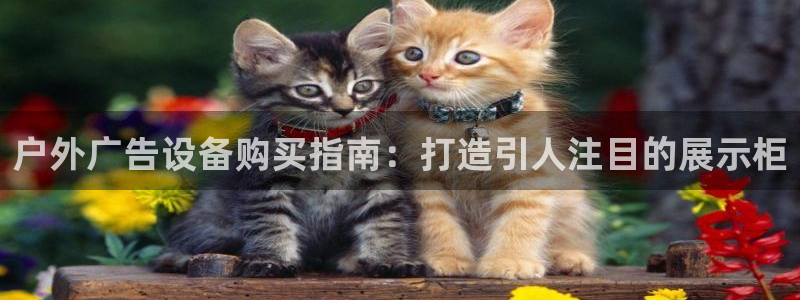 杏宇代理注册：户外广告设备购买指南：打造引人注目的展示柜