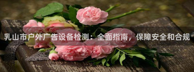 杏宇平台登录方法：乳山市户外广告设备检测：全面指南，保障安全和合规