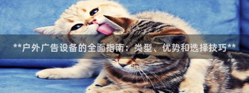 杏宇平台注册地址在哪里：**户外广告设备的全面指南：类型、优势和选择技巧**