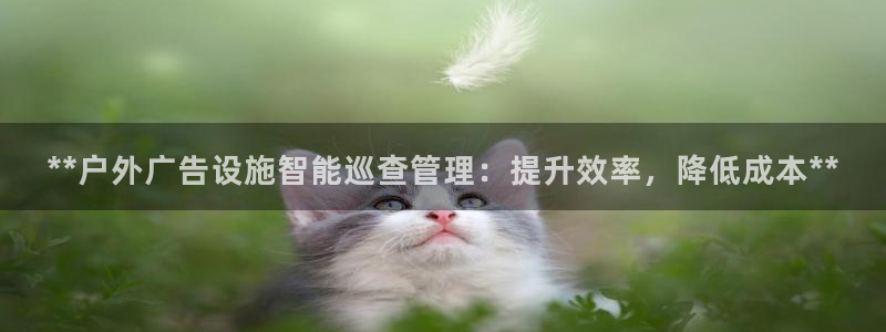 杏宇平台登陆：**户外广告设施智能巡查管理：提升效率，降低成本**