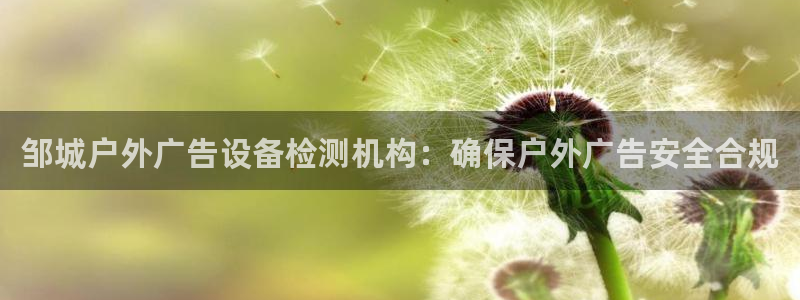 杏宇官方平台官网下载：邹城户外广告设备检测机构：确保户外广告安全合规