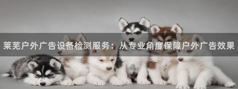 杏宇平台怎么样知乎：莱芜户外广告设备检测服务：从专业角度保障户外广告效果