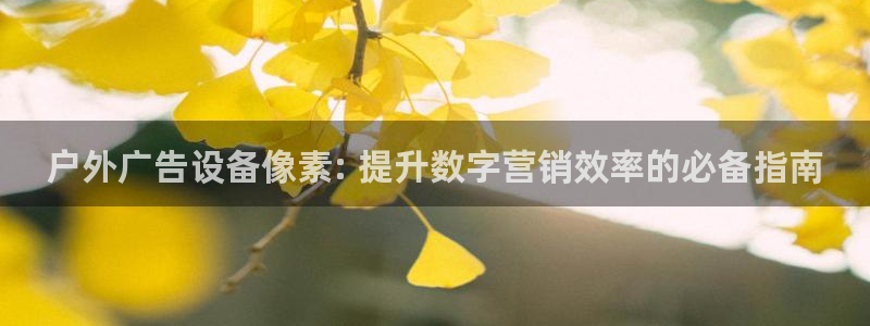 杏宇平台登录步骤：户外广告设备像素: 提升数字营销效率的必备指南