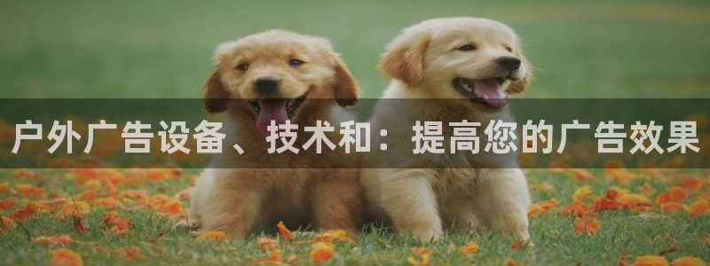 杏宇平台怎么样知乎：户外广告设备、技术和：提高您的广告效果