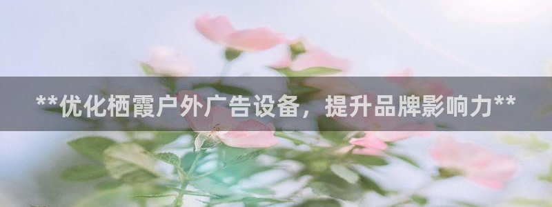 杏宇平台代理多少钱一个：**优化栖霞户外广告设备，提升品牌影响力**