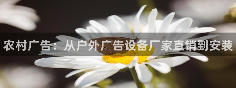杏宇平台注册地址：农村广告：从户外广告设备厂家直销到安装