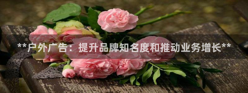杏宇平台代理多少钱一个月：**户外广告：提升品牌知名度和推动业务增长**