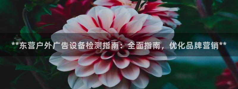 杏宇官方平台官网：**东营户外广告设备检测指南：全面指南，优化品牌营销**