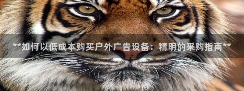 杏宇平台代理怎么赚钱：**如何以低成本购买户外广告设备：精明的采购指南**