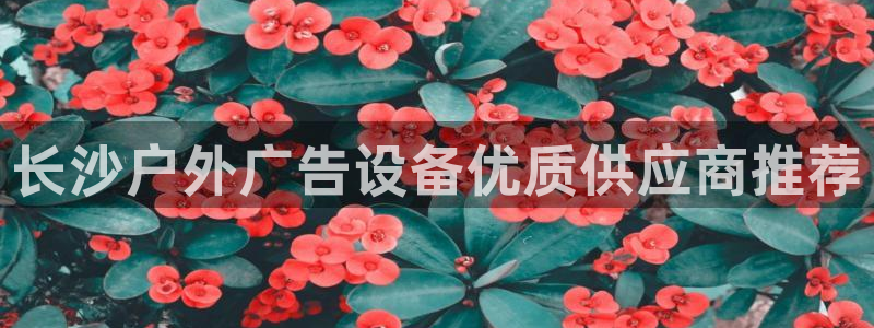 杏宇平台总代理：长沙户外广告设备优质供应商推荐