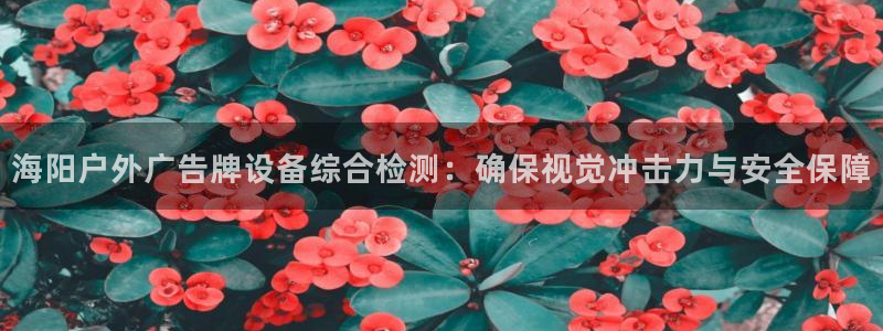 杏宇平台注册地址在哪里：海阳户外广告牌设备综合检测：确保视觉冲击力与安全保障