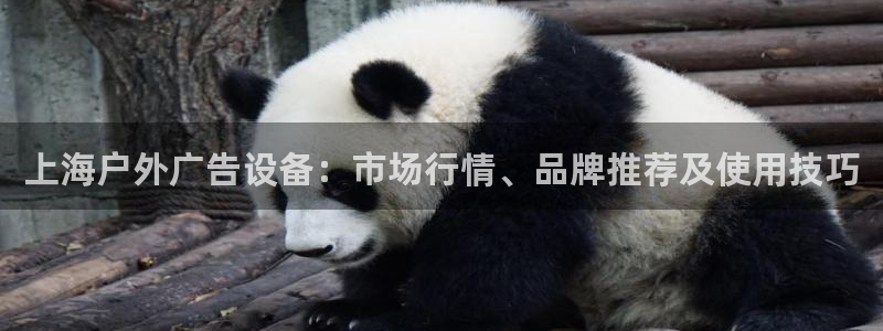 杏宇官方平台官网：上海户外广告设备：市场行情、品牌推荐及使用技巧