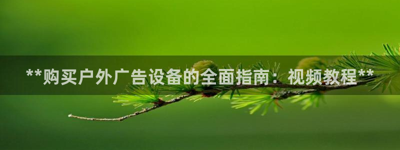 杏宇平台提现为什么这么久呢：**购买户外广告设备的全面指南：视频教程**