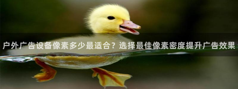 杏宇平台招商怎么样：户外广告设备像素多少最适合？选择最佳像素密度提升广告效果