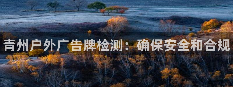 杏宇平台登录步骤：青州户外广告牌检测：确保安全和合规