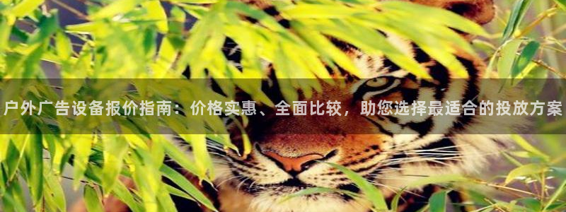 杏宇平台客服：户外广告设备报价指南：价格实惠、全面比较，助您选择最适合的投放方案