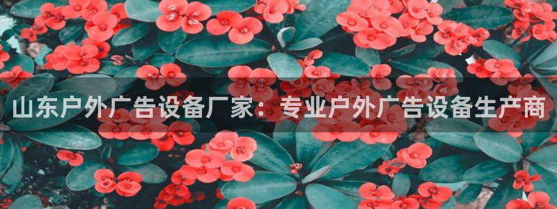 杏宇平台代理怎么赚钱：山东户外广告设备厂家：专业户外广告设备生产商