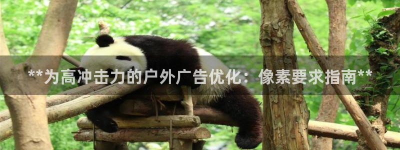 杏宇平台代理