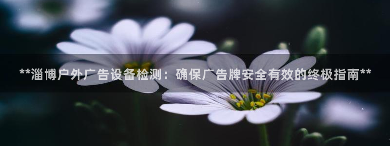 杏宇平台代理怎么赚钱的：**淄博户外广告设备检测：确保广告牌安全有效的终极指南**