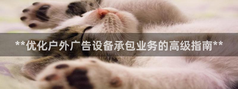 杏宇平台提现为什么这么久呢：**优化户外广告设备承包业务的高级指南**