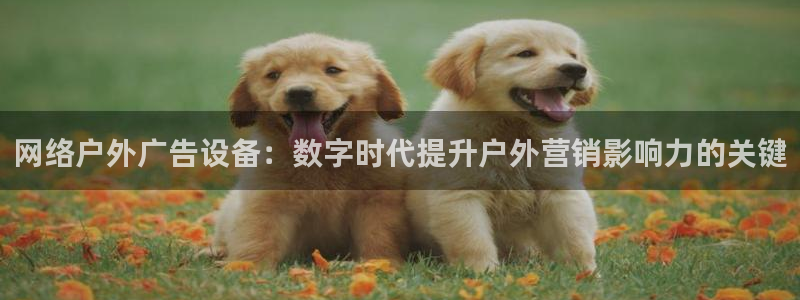 杏宇平台总代理是谁：网络户外广告设备：数字时代提升户外营销影响力的关键