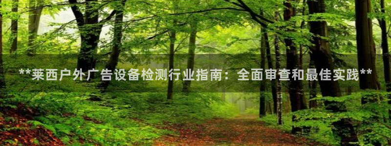 杏宇平台登录步骤：**莱西户外广告设备检测行业指南：全面审查和最佳实践**