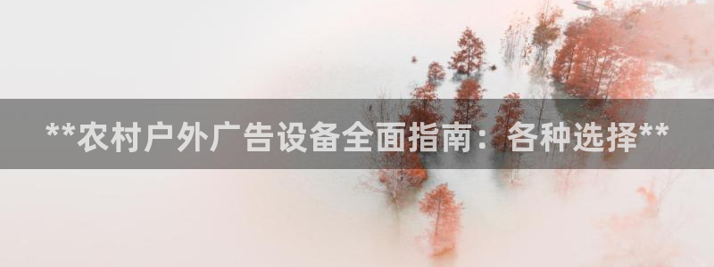 杏宇平台登录步骤图：**农村户外广告设备全面指南：各种选择**