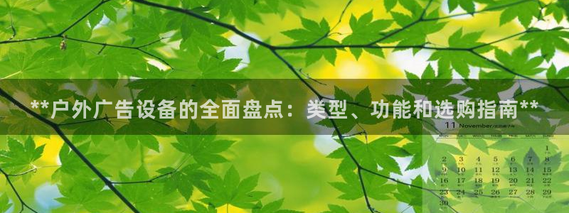 杏宇平台代理多少钱：**户外广告设备的全面盘点：类型、功能和选购指南**