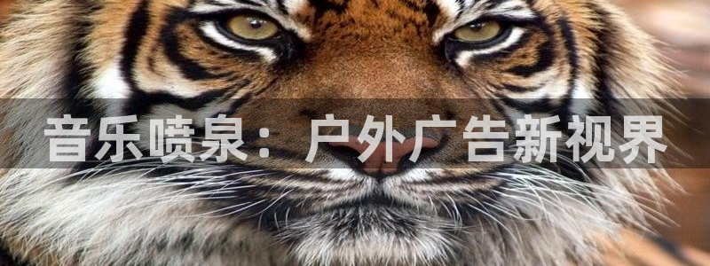 杏宇平台代理多少钱一次：音乐喷泉：户外广告新视界